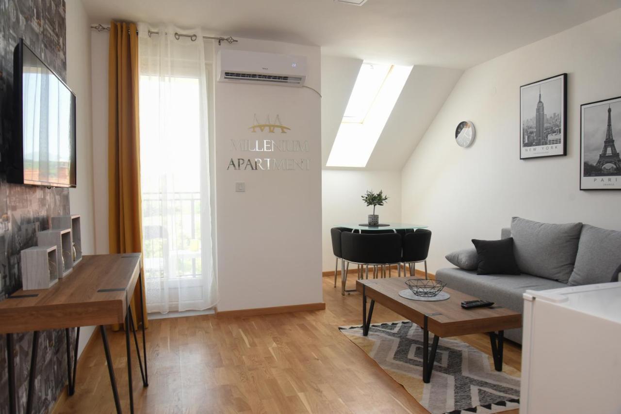 Millenium Apartment ソコバニャ エクステリア 写真